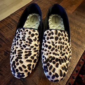 Birdies: The Starling Cheetah Calf Hair